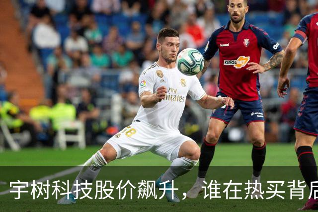 宇树科技股价飙升，谁在热买背后？